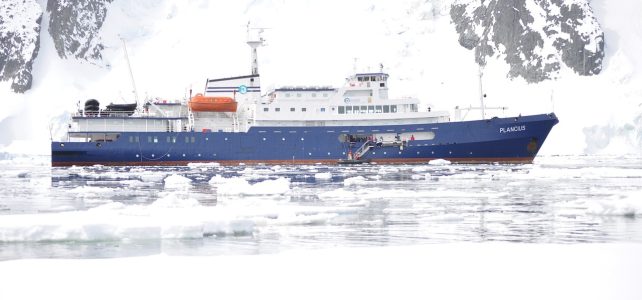 Quand faire une croisière en Antarctique ?